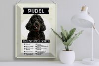 Blechschild Spruch 30x40cm Pudel Eigentumsrechte Geschenk