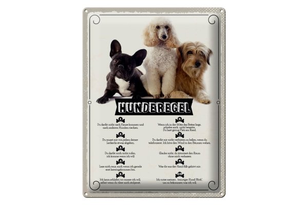 Blechschild Spruch 30x40cm Hunderegel schlafen wo ich will