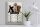 Blechschild Spruch 30x40cm Hunderegel schlafen wo ich will