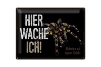 Blechschild Spruch 40x30cm Spinne hier wache ich eigene...