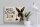 Blechschild Spruch 40x30cm Hase hier wache ich eigene Gefahr
