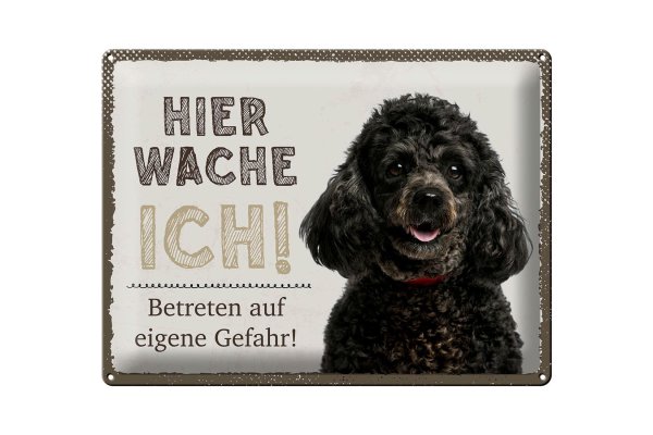 Blechschild Spruch 40x30cm Pudel hier wache eigene Gefahr