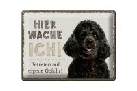 Blechschild Spruch 40x30cm Pudel hier wache eigene Gefahr