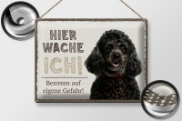 Blechschild Spruch 40x30cm Pudel hier wache eigene Gefahr
