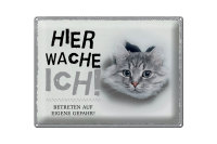 Blechschild Spruch 40x30cm Katze hier wache eigene Gefahr