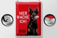 Blechschild Spruch 40x30cm Dobermann Betreten auf eigene Gefahr