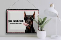 Blechschild Spruch 40x30cm Dobermann hier wache ich