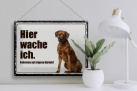 Blechschild Spruch 40x30cm Rodhesian Ridgeback hier wache ich
