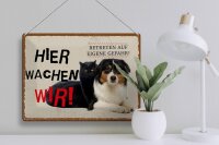 Blechschild Spruch 40x30cm Hund Katze hier wachen wir Geschenk