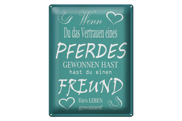 Blechschild Spruch 30x40cm Wenn du Vertrauen eines Pferd