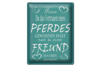 Blechschild Spruch 30x40cm Wenn du Vertrauen eines Pferd