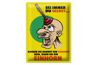 Blechschild Spruch 30x40cm Sei immer du selbst sei Einhorn