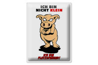 Blechschild Spruch 30x40cm Bin nicht klein bin platzsparend