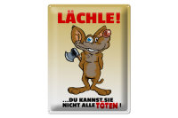Blechschild Spruch 30x40cm Lächle Du kannst Sie...