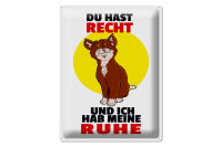Blechschild Spruch 30x40cm Du hast Recht und ich Ruhe...