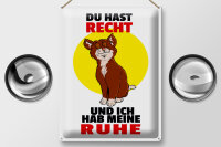 Blechschild Spruch 30x40cm Du hast Recht und ich Ruhe (Katze)