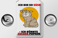Blechschild Spruch 30x40cm Bin süß könnte Zucker pupsen (Katze)