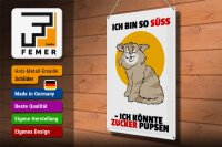 Blechschild Spruch 30x40cm Bin süß könnte Zucker pupsen (Katze)