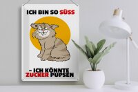 Blechschild Spruch 30x40cm Bin süß könnte Zucker pupsen (Katze)