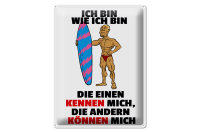 Blechschild Spruch 30x40cm einen kennen mich anderen können mich