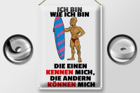 Blechschild Spruch 30x40cm einen kennen mich anderen können mich