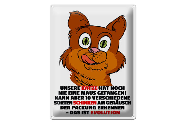 Blechschild Spruch 30x40cm Katze hat noch nie Maus gefangen