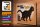 Blechschild Spruch 40x30cm Haus ohne Katze ist nur ein Haus