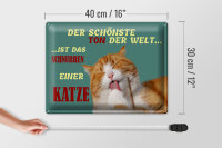 Blechschild Spruch 40x30cm Schönste Ton ist Katzenschnurren