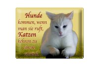 Blechschild Spruch 40x30cm Hunde kommen Katzen kehren...