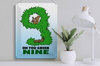 Blechschild Spruch 30x40cm Oh you green nine