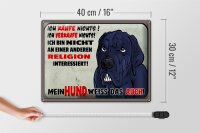 Blechschild Hinweis 40x30cm ich kaufe nichts Mein Hund weiß