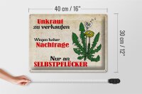 Blechschild Spruch 40x30cm Unkraut nur an Selbstpflücker
