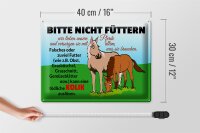 Blechschild Hinweis 40x30cm Bitte nicht füttern Pferd Kolik