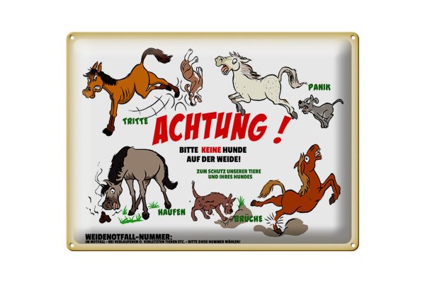 Blechschild Hinweis 40x30cm Achtung keine Hunde auf Weide