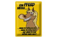 Blechschild Spruch 30x40cm Ein Pferd weiß wann...