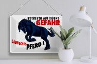 Blechschild Hinweis 40x30cm launisches Pferd Gefahr