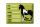 Blechschild Pferd 40x30cm Rappschecke Name Besitzer Rasse