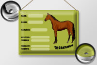 Blechschild Pferd 40x30cm Thrakener Name Besitzer Rasse