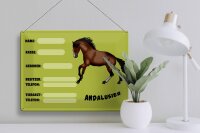 Blechschild Pferd 40x30cm Andalusier Name Besitzer Rasse
