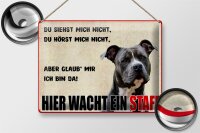 Blechschild Hinweis 40x30cm Hund Hier wacht ein Staff