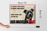 Blechschild Hinweis 40x30cm Hund Hier wacht ein Staff