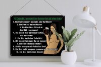 Blechschild Pinup 40x30cm 10 Gründe Bier besser als Frau