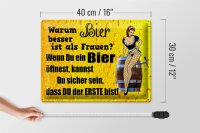 Blechschild Pinup 40x30cm Warum Bier besser ist als Frauen