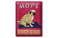 Blechschild Spruch 30x40cm Mops Hund klug und charmant