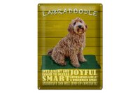 Blechschild Spruch 30x40cm Labradoodle Hund will jump up