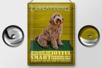 Blechschild Spruch 30x40cm Labradoodle Hund will jump up