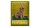 Blechschild Spruch 30x40cm Labradoodle Hund will jump up