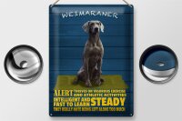Blechschild Spruch 30x40cm Weimaraner Hund alert and steady