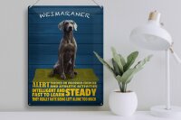 Blechschild Spruch 30x40cm Weimaraner Hund alert and steady