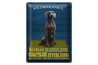 Blechschild Spruch 30x40cm Weimaraner Hund wachsam schnell